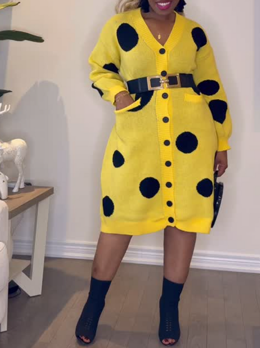 Polo Point Button V-Neck Dress