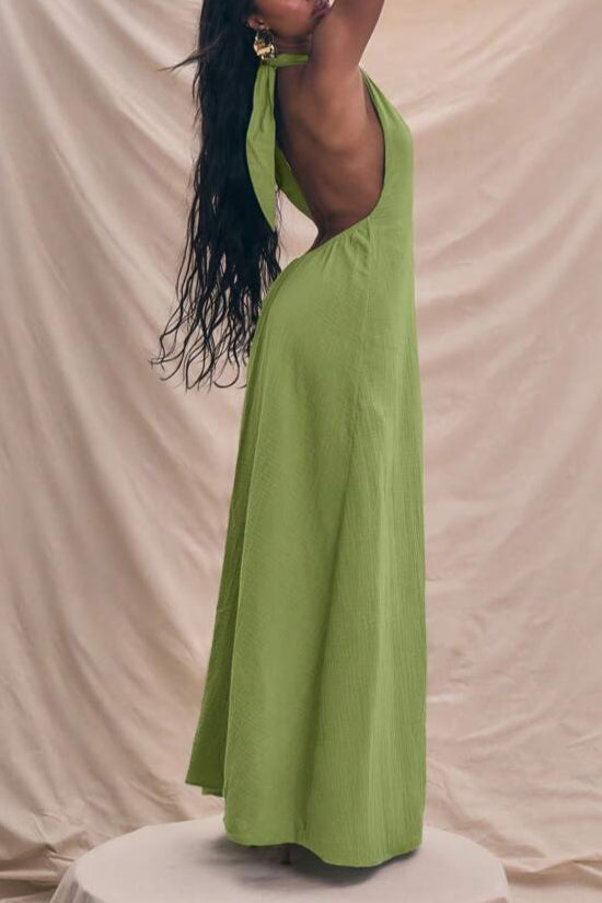Halterneck Plunge Center Seam Detail Extreme Elegant Maxi Dress