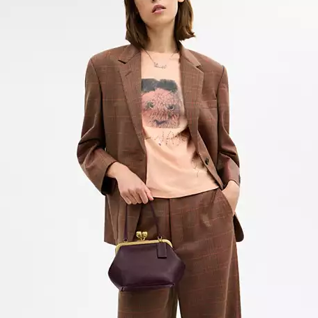 Small Kisslock Frame Bag