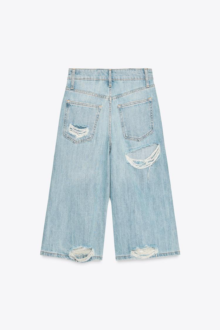Ripped Low Rise Denim Jorts