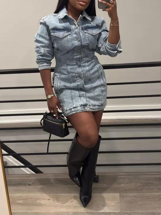 Barrel Long Sleeve Mini Dress