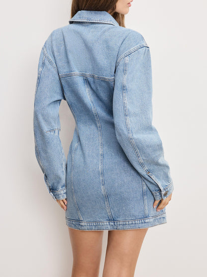 Barrel Long Sleeve Mini Dress