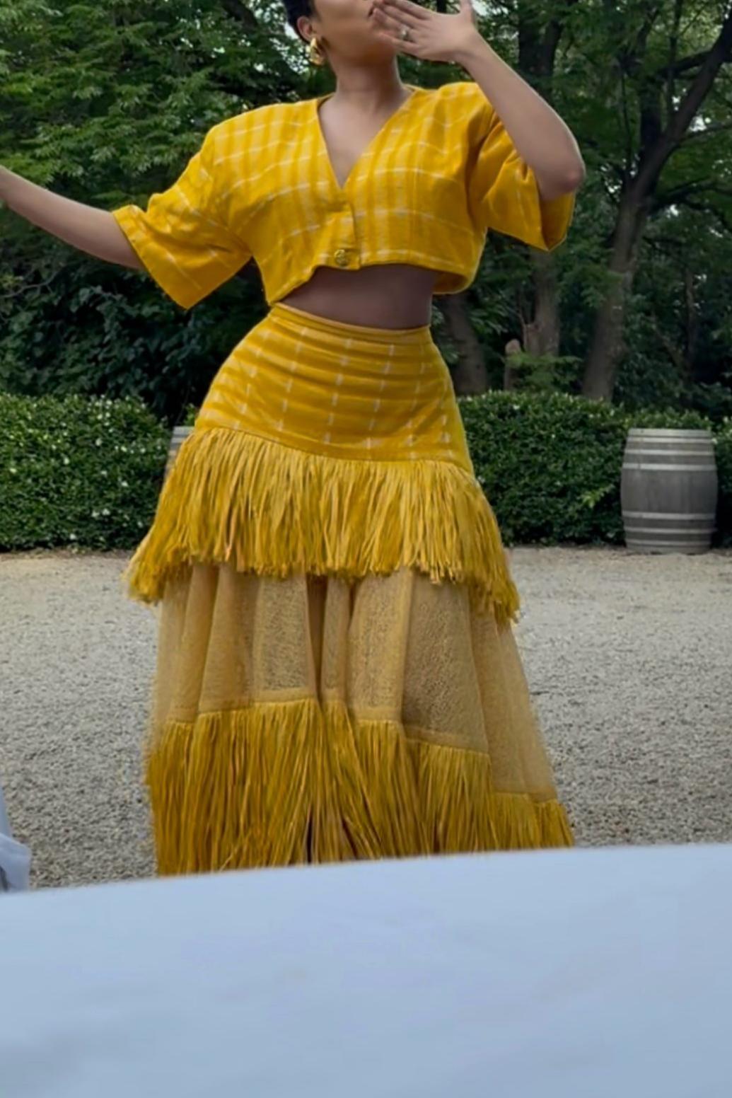 Woven Cropped Top & Layered Raffia Skirt Set