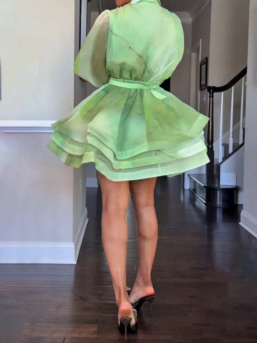 Fashion Flouced Hem Mini Dress