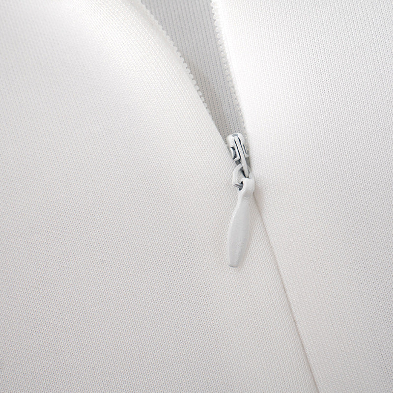 Mock Neck Long Sleeve Backless Sexy Mini Dress