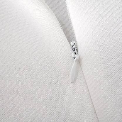 Mock Neck Long Sleeve Backless Sexy Mini Dress